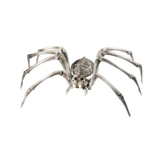 Spider Skeleton Prop Natural 22cmx48cmx82cm / 9inx19inx32in