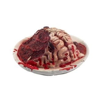 Latex Gory Gourmet Rotting Brain Plate Prop Red with Maggots & Cockroaches 27x27x10cm / 11x11x4in