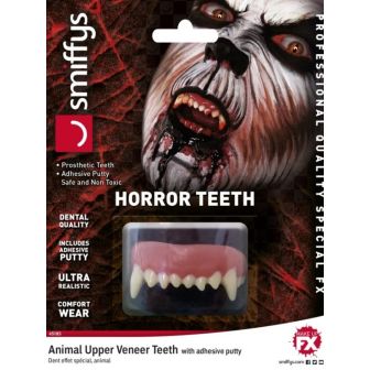 Animal Upper Veneer Teeth