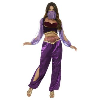 Arabian Princess Costume Purple with Trousers Top & Face Veil