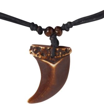 Dragon Tooth Necklace
