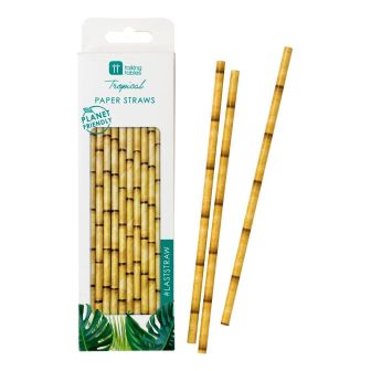 Fiesta Bamboo Paper Straws - 30pk