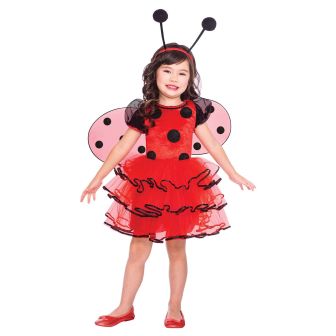 Ladybird Costume - Age 4-6 Years 