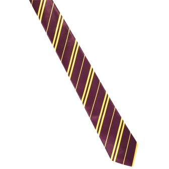 Children's Wizard School Tie 