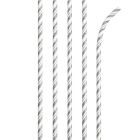 Striped Silver Paper Straws